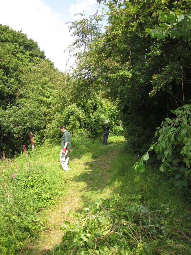 Help us improve this fantastic site