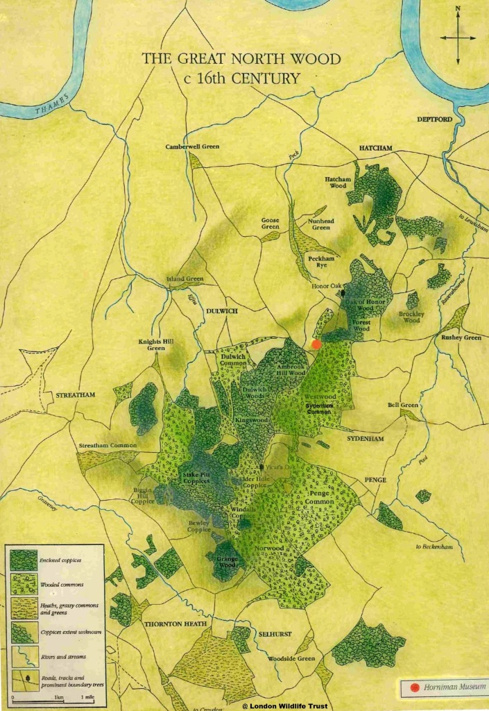 16th Century Great North Wood Map