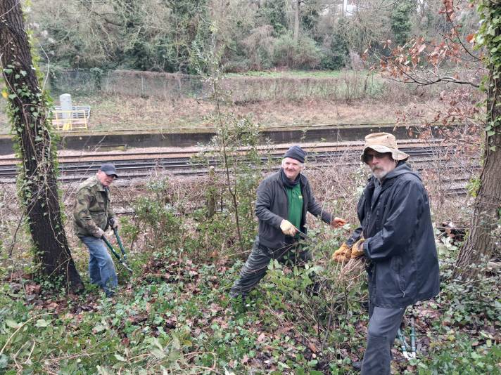 Eradicating invasive species
